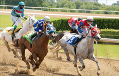 Presque Isle Downs and Casino